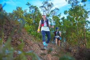 BIB: 2375
                            <button type="button" onclick="openModal(21834245)" class="btn btn-primary btn-sm float-right btn-popup" data-toggle="modal" data-target=".modal-high-quality">
                        <i class="fas fa-shopping-cart"></i> Add to Cart
                    </button>
                                            <button type="button" onclick="isThisMe(21834245, true)" class="btn btn-success btn-sm float-right btn-popup btn-isme hidden" data-toggle="tooltip" data-placement="bottom" title="นี่คือรูปของคุณใช่ไหม คลิกที่นี่เพื่อเอาเข้าอัลบั้ม">
                        <i class="fas fa-plus"></i> Add to album
                    </button>
                    <button type="button" onclick="isThisMe(21834245, false)" class="btn btn-warning btn-sm float-right btn-popup btn-isnotme hidden">
                        <i class="fas fa-ban"></i> Remove from album
                    </button>